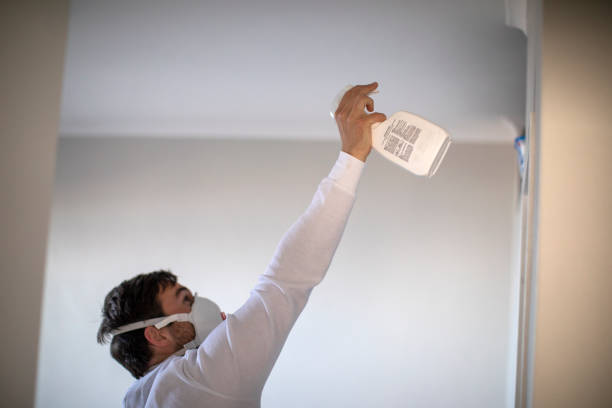 Best Mold Removal Near Me  in Mesa Del Caballo, AZ