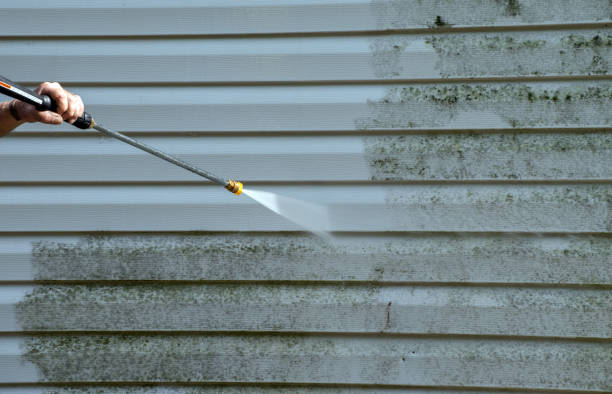 Mold Removal Process in Mesa Del Caballo, AZ